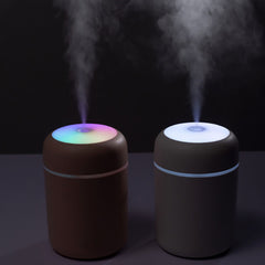 Portable 300ml Humidifier