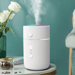Portable 300ml Humidifier