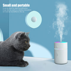 Portable 300ml Humidifier