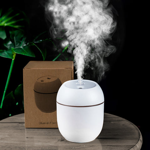 Portable 300ml Humidifier
