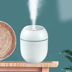 Portable 300ml Humidifier