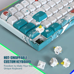 Custom Mechanical Keyboard